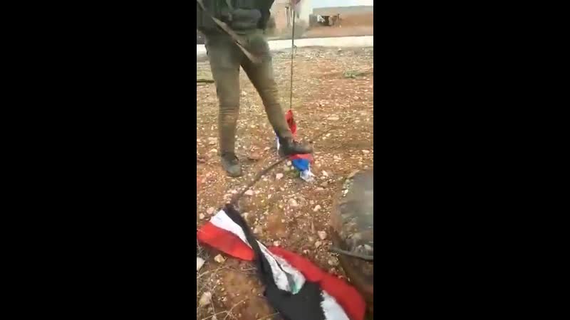 Тим часом в сириї