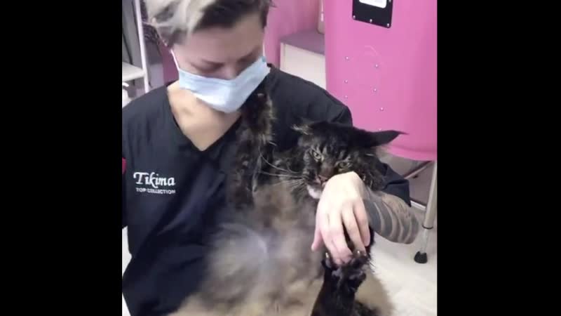 Брутальный кайфарик