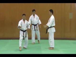 1 bunkai kumite yantsu no kata