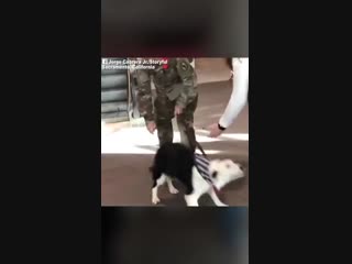 A soldier's worry her beloved doggie wouldn't remember her while she was deployed in africa quickly dissolved by the pup's unbel