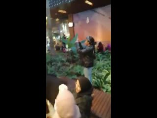 Ce musulman marocain rage en arabe car il y a des festivités de #noel dans un centre commercial du maroc