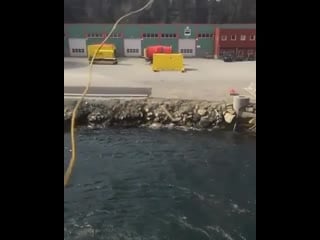 The power of this plt line thrower