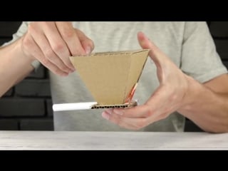 Diy puppy dog food dispenser from cardboard at home