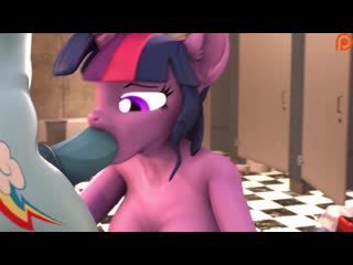 Mlp 3d anthro futa rainbow dash x twilight blowjob sfm