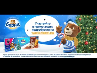 Barni banner xmas 537х240