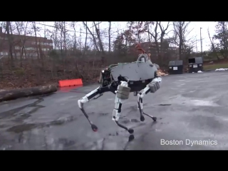 5 amazing robots 2016 the shape of things to come atlas, spot, cheetah, pepper, asimo