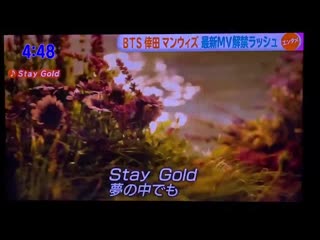 Превью к клипу «stay gold»