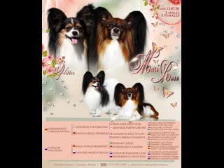 Помёт "о" ( г ) 2 мальчика и 2 девочки