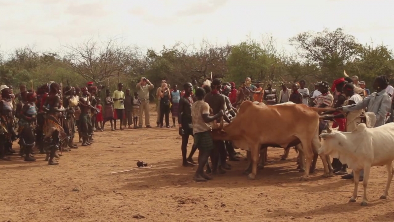 Hamer bulljumping the quest to be a man hd