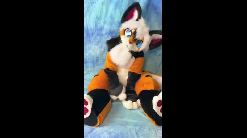 Оранжевая кошка жена | кемоно молодые