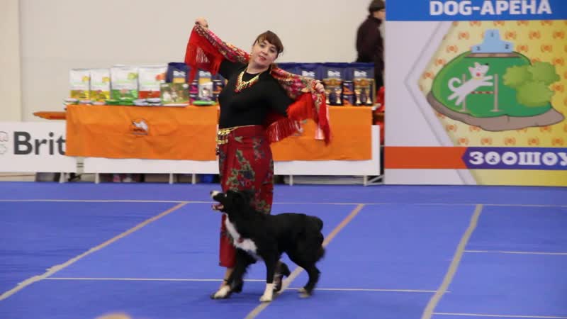 Танец собачки цыганочка с выходом ♛ 😜😉► прикол ◄╬₪🤣😉●👍🏻♛