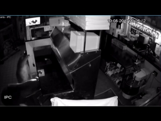 Медведи в пиццерии (vhs video)