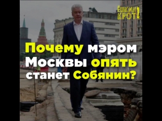 Почему мэром москвы опять станет собянин?