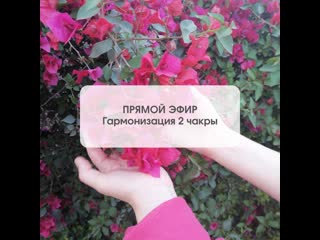 Live гармонизация 2 чакры