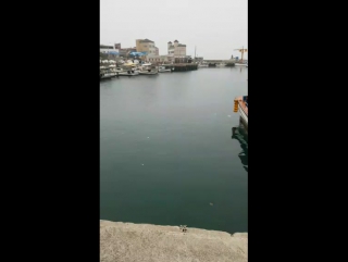 170105 jaehyo periscope