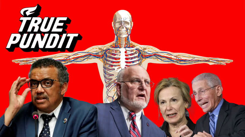 Gray porn video – Gray area anatomy – where pathology meets pathological liars with special guest mike moore