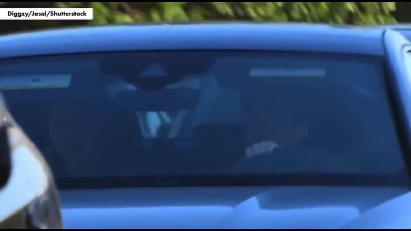 Зендая и том холланд замечены целующимися