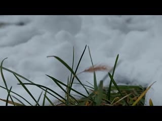 Video d4a8091d f4fa 4276 b3f4 dc0f559b53d2 mp4