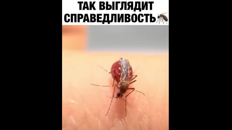 Жадность фраера сгубила