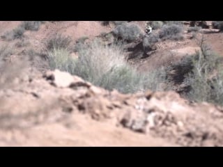 Just the tip day 1 red bull rampage 2015 pinkbike