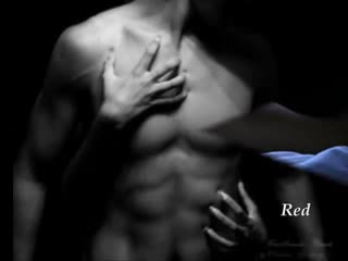 Riccardo cocciante bella senzanima