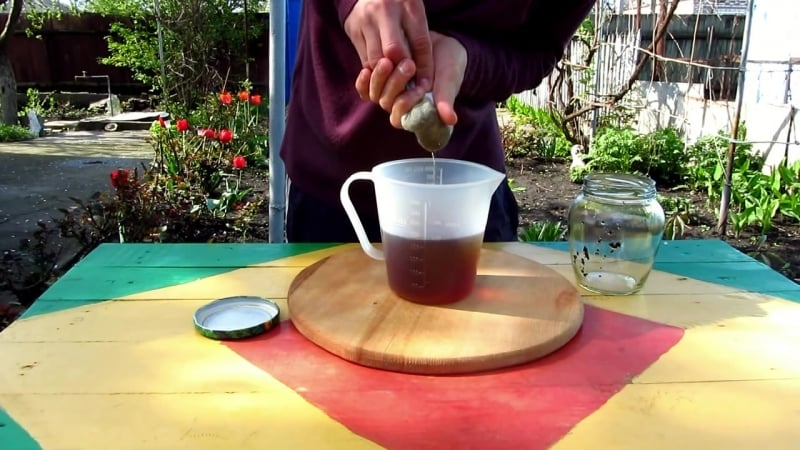 Рецепт алкогольной настойки на черносливе