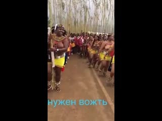 Требуется вождь