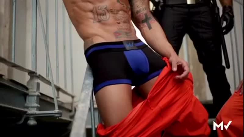 Modus vivendi | fetish line