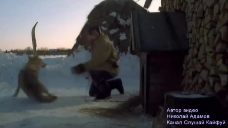 Эту песню ищут все! хит 2018! волчицы вой эдуард хуснутдинов