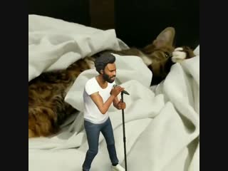 Просто redbone на коте доброкотова