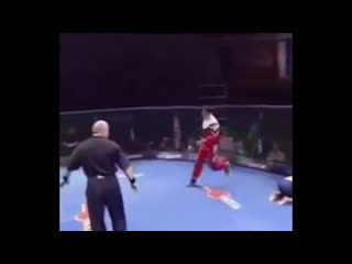 Волк хан наказывает судью