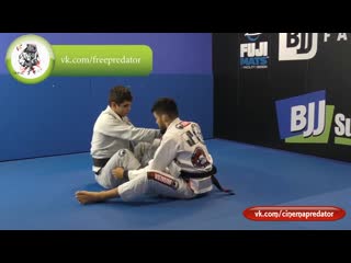 High percentage ibjjf legal footlocks mike musumeci vol 3