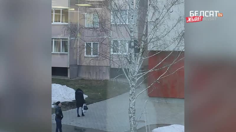 Ябатька полезла на дерево снимать бчб ленточки <#белсат>