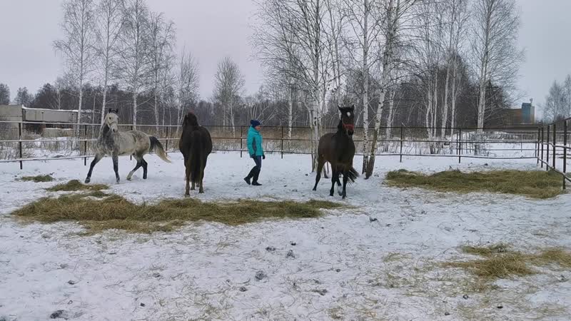Горькоа, стабунивание грохота, ласки и проспекта