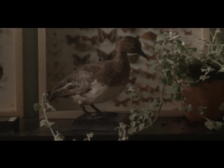 Charles murdoch dekire [feat oscar key sung]