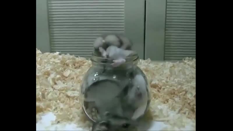 Чиновники и бюджет