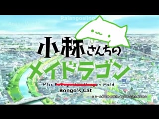 Kobayashi san chi no maid dragon, bongo cat