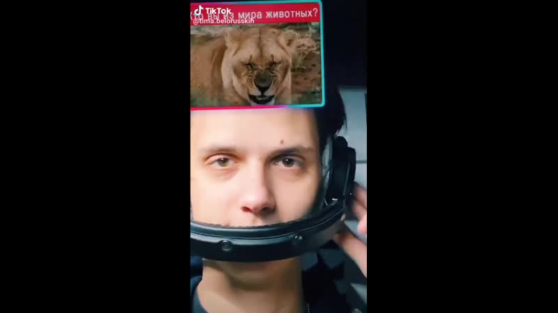 Tiktok – tima belorusskih