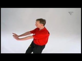 Sifu niko dvd 3