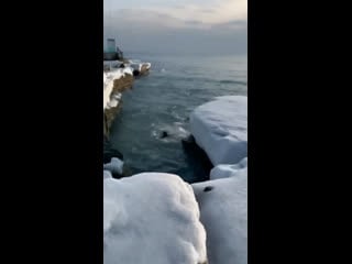 Таверна юмора