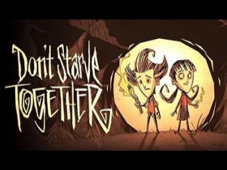 Играем в don't starve together