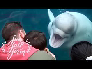 😂 fff fun fail ferm бесконечно смешно!