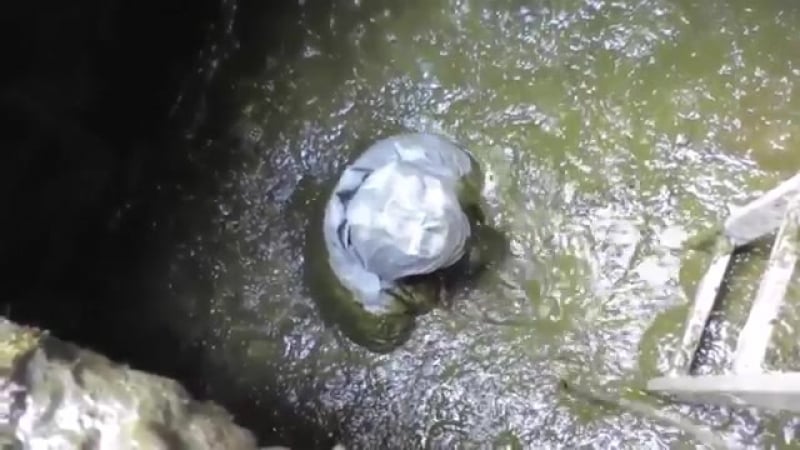 Одна из ужасных работ в мире ныряльщик в нечистоты