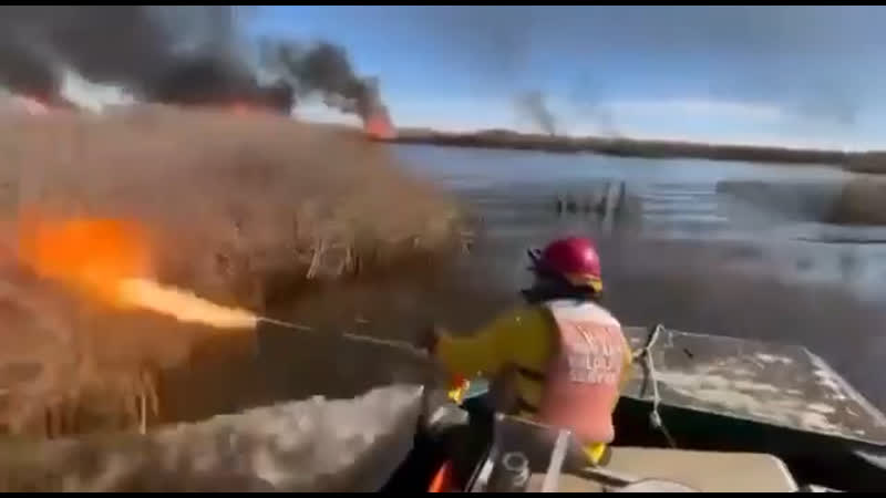 Пиндосы поджигатели