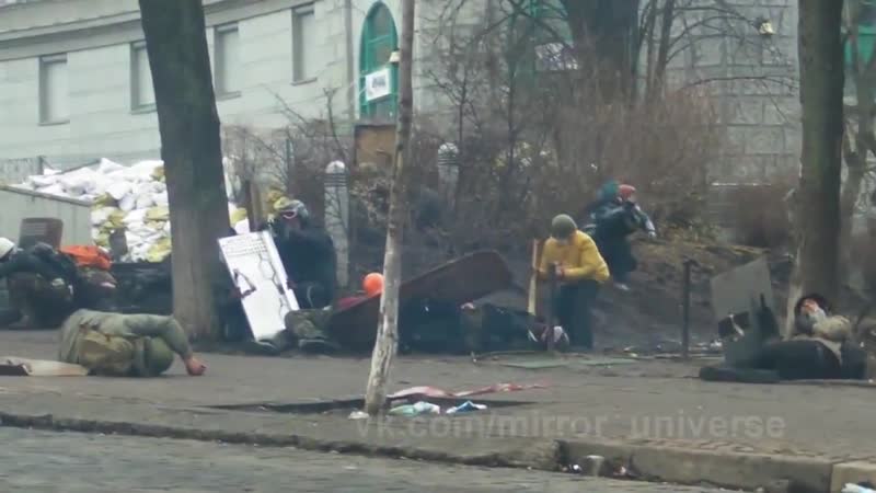 Как уходила небесные свиньи бойня в киеве на институтской