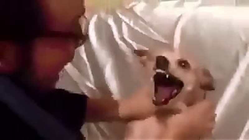 Изгнание демона