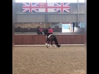 Lesson with carl hester hannah and archie