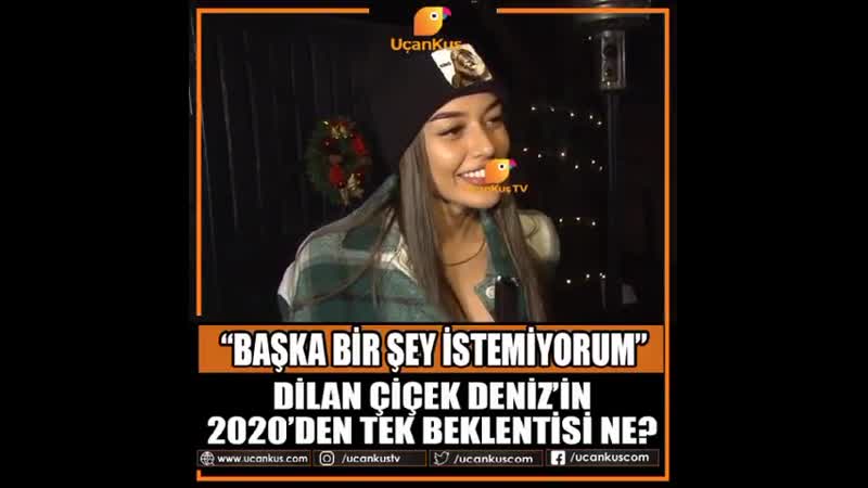 Дилан чичек дениз о 2019 и 2020