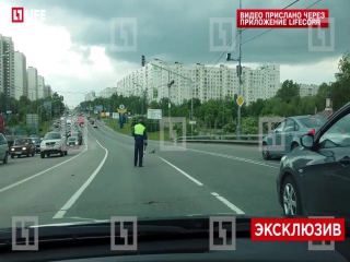 В москве сотрудник дпс перекрыл дорогу, чтобы пропустить уток