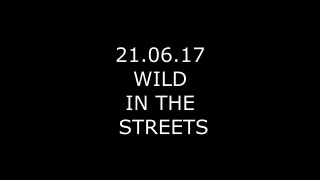 Wild in the streets 2017 | grigory nikitin